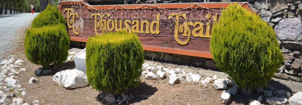 Morgan Hill Camping Resort Cabin 2 San Martin Bagian luar foto
